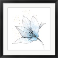 Framed 'Blue Graphite Flower IX' border=