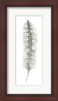 Framed Feather Sketches VII