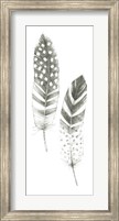 Framed Feather Sketches VIII