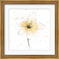 Framed Gilded Graphite Floral II