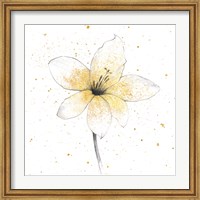 Framed Gilded Graphite Floral II
