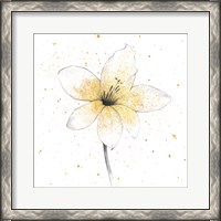 Framed 'Gilded Graphite Floral II' border=