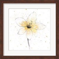 Framed 'Gilded Graphite Floral II' border=