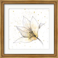 Framed Gilded Graphite Floral IX