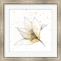 Framed Gilded Graphite Floral IX