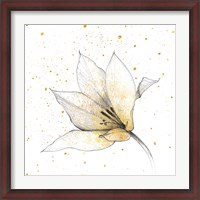 Framed Gilded Graphite Floral IX