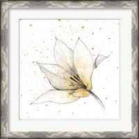 Framed 'Gilded Graphite Floral IX' border=