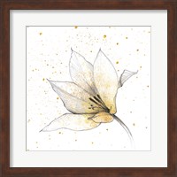 Framed 'Gilded Graphite Floral IX' border=