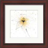 Framed 'Gilded Graphite Floral V' border=