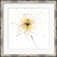 Framed Gilded Graphite Floral V