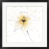 Framed Gilded Graphite Floral V