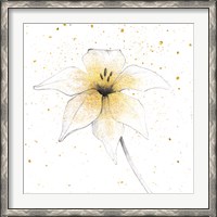 Framed Gilded Graphite Floral V