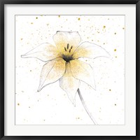 Framed Gilded Graphite Floral V