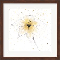 Framed Gilded Graphite Floral V