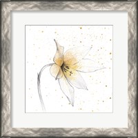 Framed Gilded Graphite Floral VIII