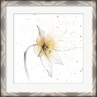 Framed Gilded Graphite Floral VIII