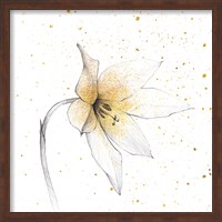 Framed Gilded Graphite Floral VIII