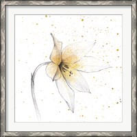 Framed Gilded Graphite Floral VIII
