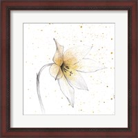 Framed Gilded Graphite Floral VIII