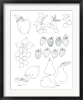 Framed Line Art Fruits