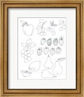 Framed Line Art Fruits