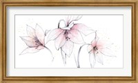 Framed Pink Graphite Floral Trio