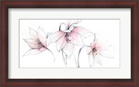 Framed Pink Graphite Floral Trio