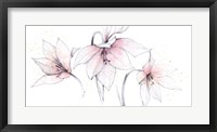 Framed Pink Graphite Floral Trio