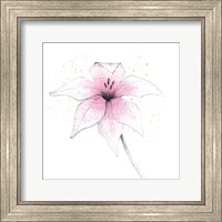 Framed Pink Graphite Flower V