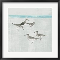 Framed Sandpipers Square I Gray