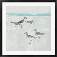 Framed Sandpipers Square I Gray