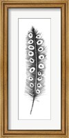 Framed Spirit Feather VIIIa