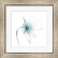 Framed Teal Graphite Flower VIII
