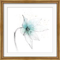 Framed Teal Graphite Flower VIII