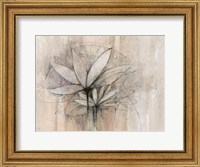 Framed Windflowers