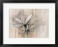 Framed Windflowers