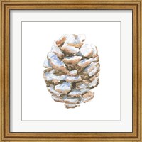 Framed Into the Woods Pinecone I