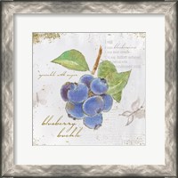 Framed Garden Treasures V