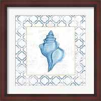 Framed Navy Conch Shell on Newsprint with Gold