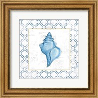 Framed 'Navy Conch Shell on Newsprint with Gold' border=