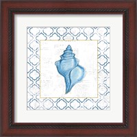 Framed 'Navy Conch Shell on Newsprint with Gold' border=