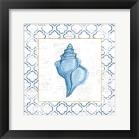 Navy Conch Shell on Newsprint with Gold Framed Print