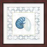 Framed Navy Nautilus Shell on Newsprint with Gold