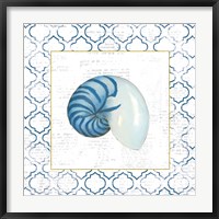 Framed Navy Nautilus Shell on Newsprint with Gold