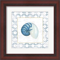 Framed 'Navy Nautilus Shell on Newsprint with Gold' border=