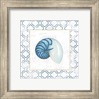 Framed 'Navy Nautilus Shell on Newsprint with Gold' border=