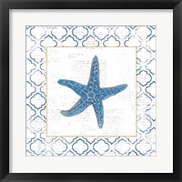 Framed 'Navy Starfish on Newsprint with Gold' border=