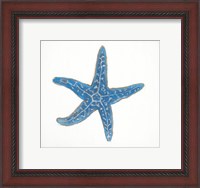 Framed Navy Starfish