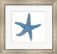 Framed Navy Starfish
