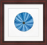 Framed Navy Circular Shell